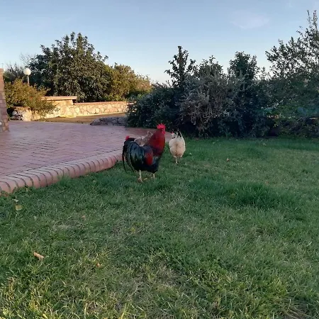 Masseria Ottaiano Gaeta